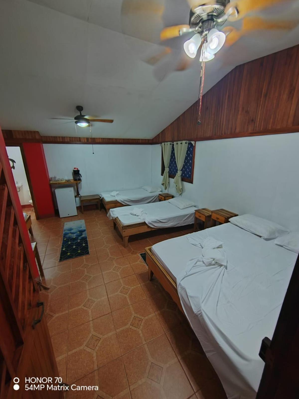Hotel Don Quichotte Tortuguero Exterior photo