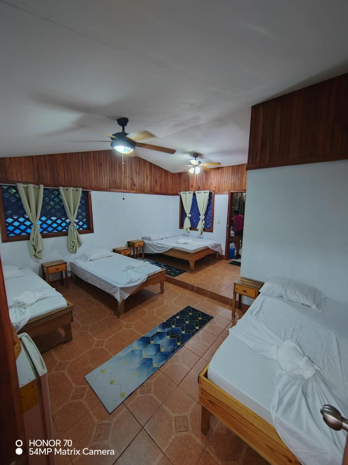 Hotel Don Quichotte Tortuguero Exterior photo