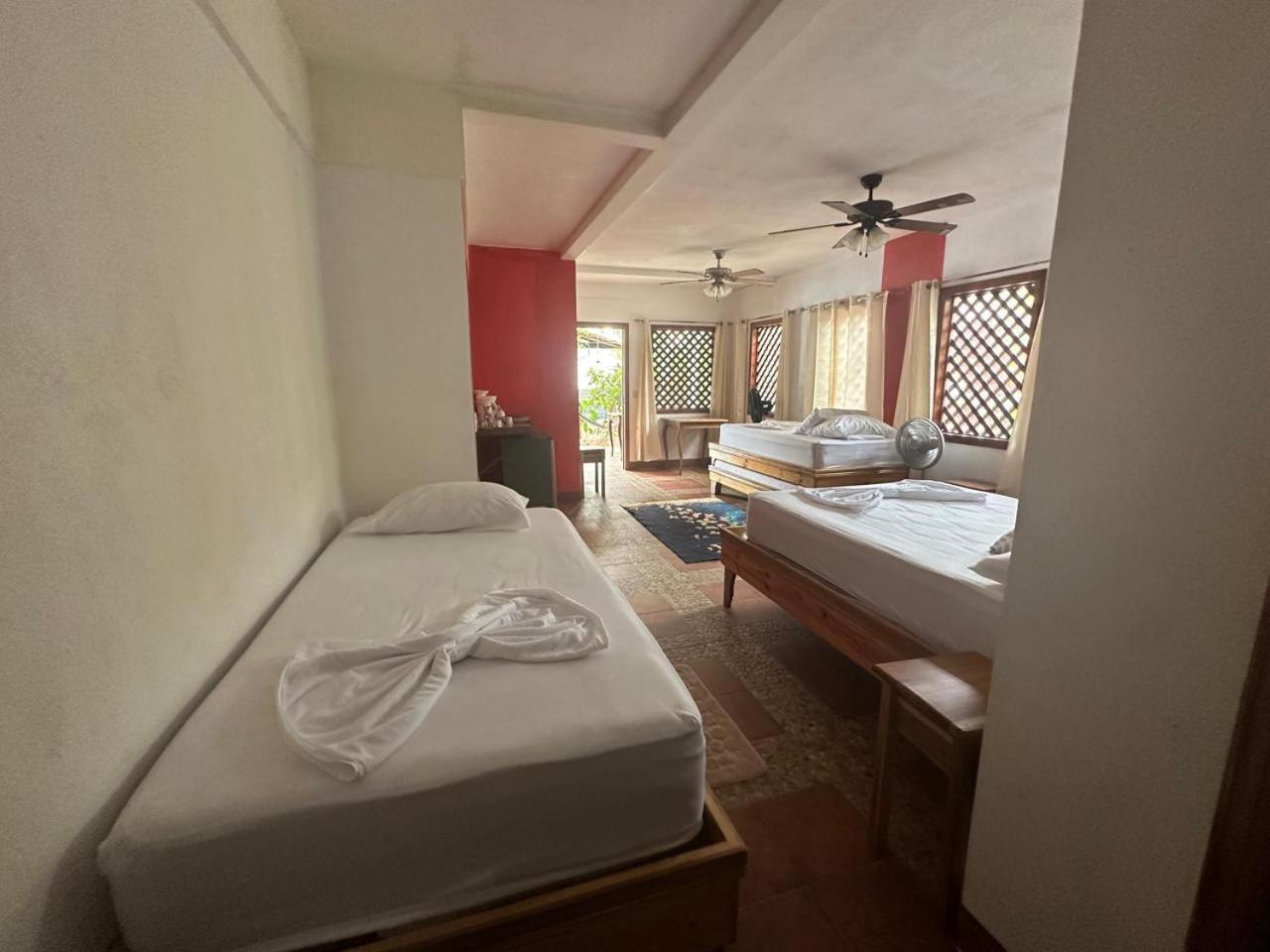 Hotel Don Quichotte Tortuguero Exterior photo