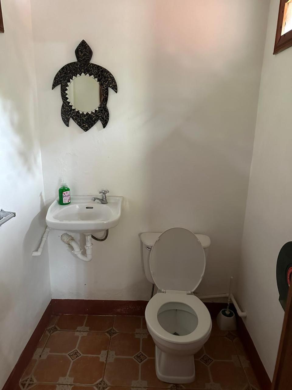 Hotel Don Quichotte Tortuguero Exterior photo