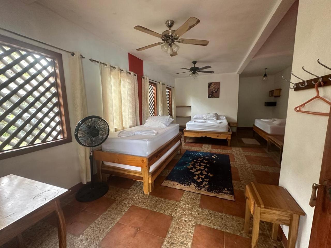 Hotel Don Quichotte Tortuguero Exterior photo