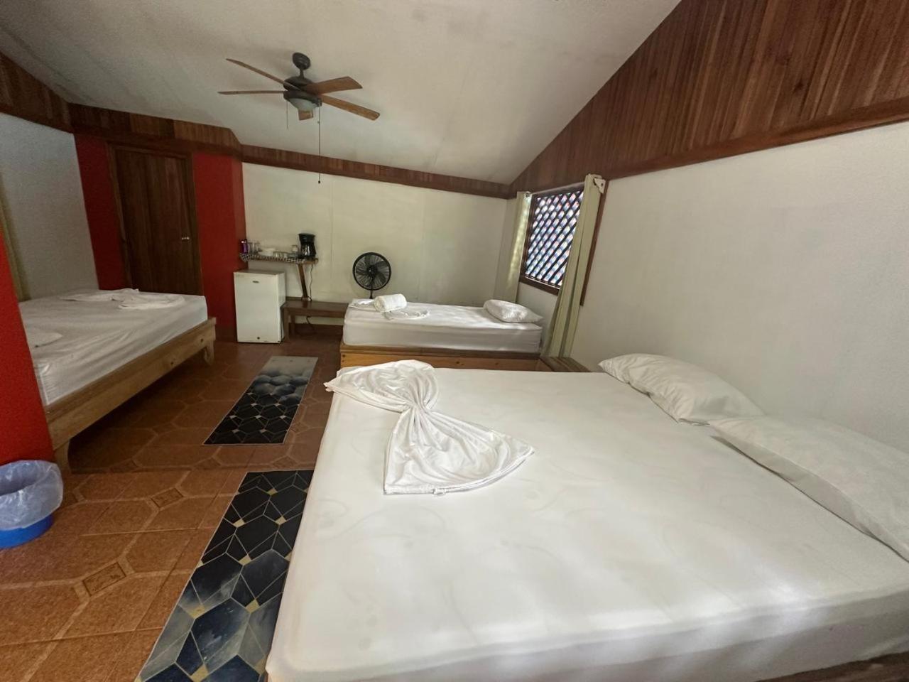 Hotel Don Quichotte Tortuguero Exterior photo